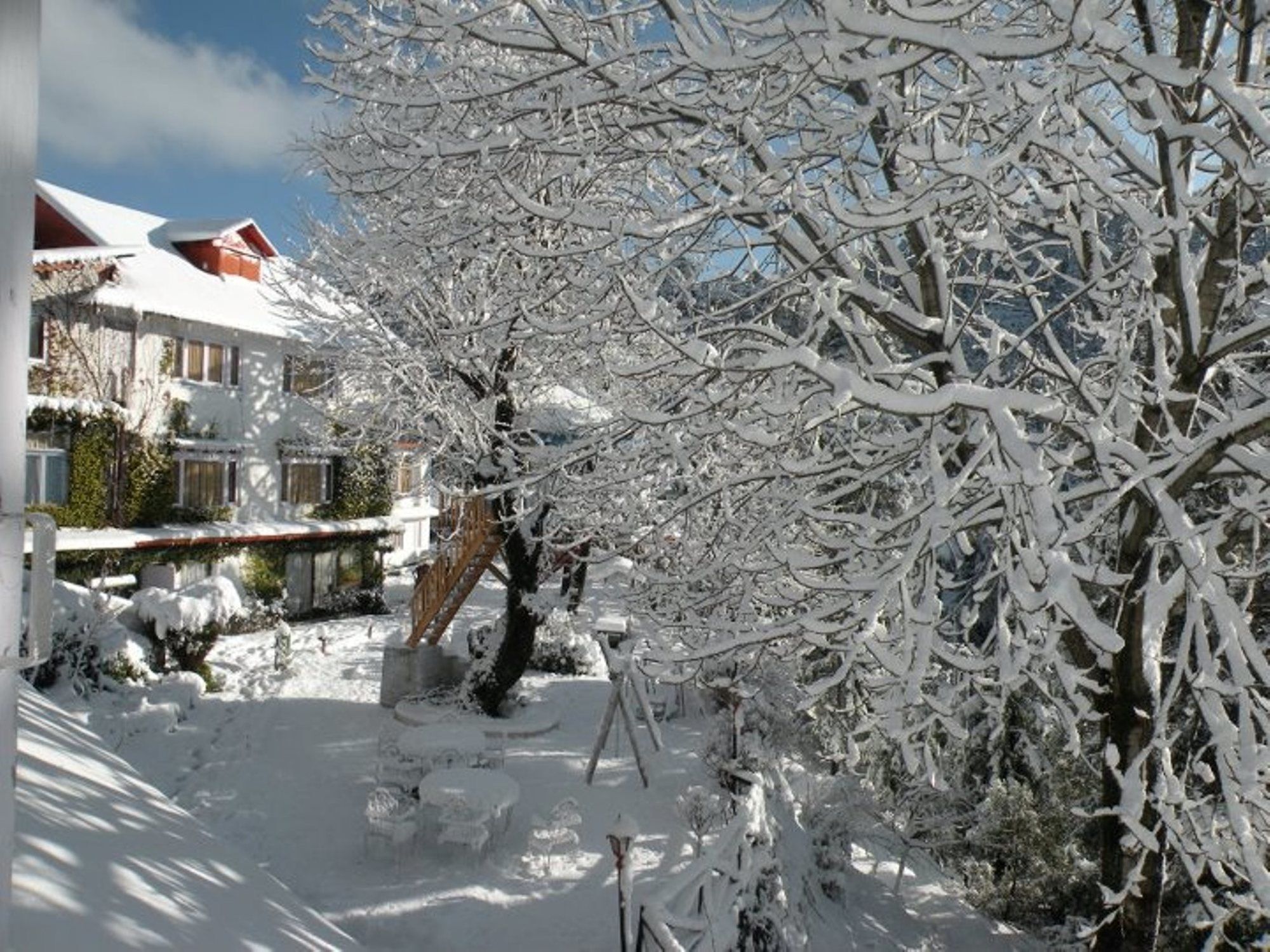 Alps Resort Dalhousie Bagian luar foto
